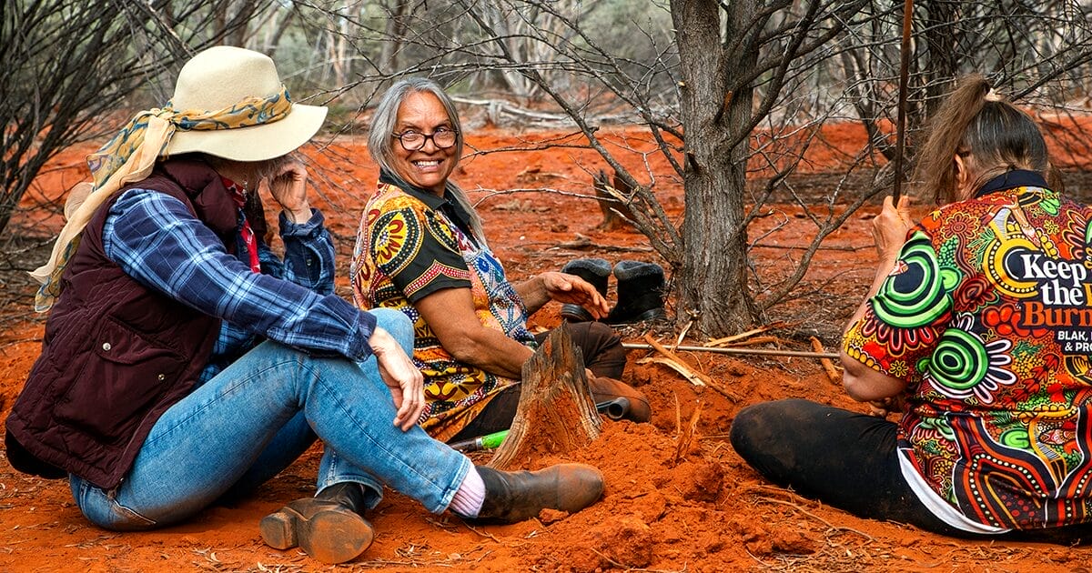 HoneyAntHunt_WordPress